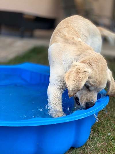 35. Handy Foto Challenge - Das nasse Element-Beitrag-Bild