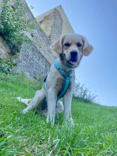 149. Foto Challenge: Wer ist hier der Boss!-Beitrag-Bild