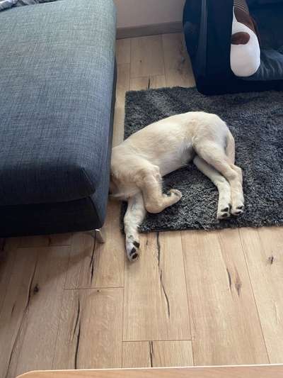 143. Fotochallenge: Ja, wo isser denn?-Beitrag-Bild