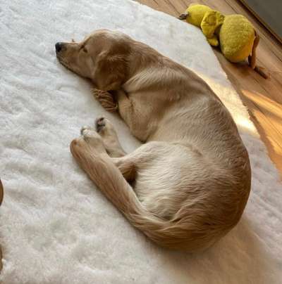 14. Farbenfoto-Challenge "Weiss"-Beitrag-Bild