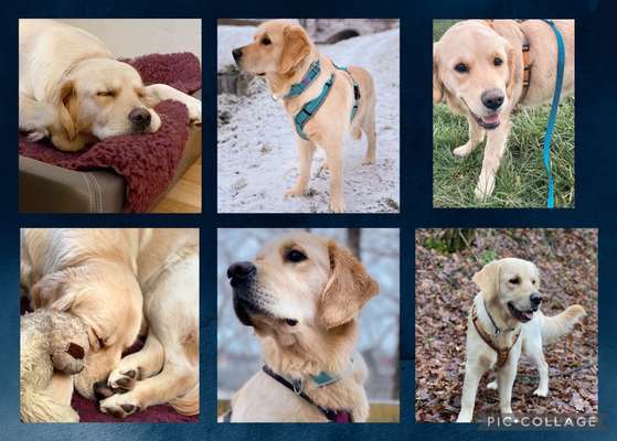 23. Collagen-Challenge: Portraits-Beitrag-Bild