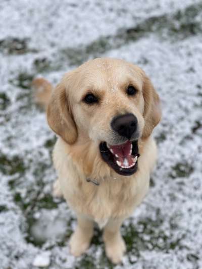 Fotochallenge 110: Lustige und schöne Schnappfotos-Beitrag-Bild