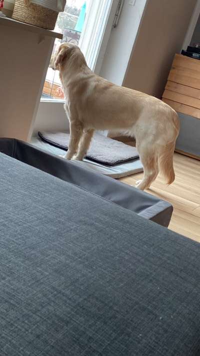 120. Fotochallenge-Beitrag-Bild