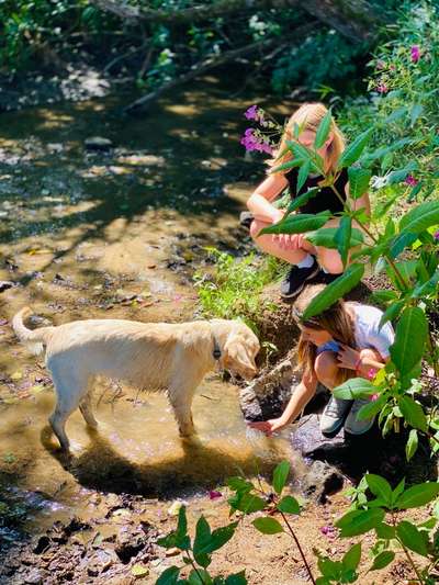 Handy-Foto-Challange Nr. 8-Beitrag-Bild