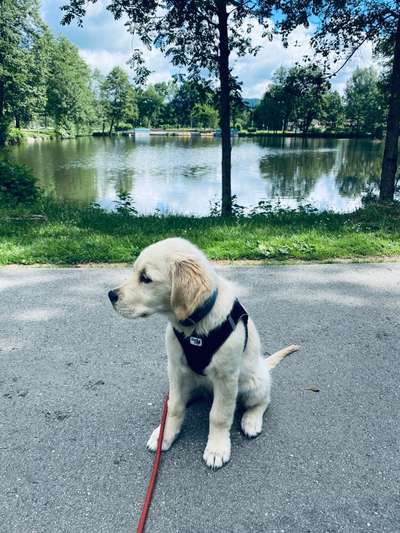 FOTOCHALLENGE 86-Beitrag-Bild