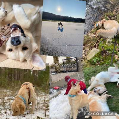 22. Collagen Challenge- Lebensfreude-Beitrag-Bild