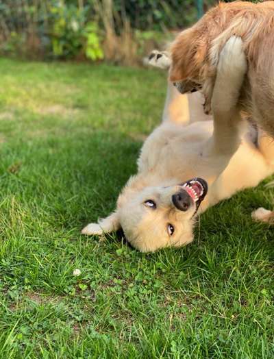 26. Handy Foto Challenge-Beitrag-Bild