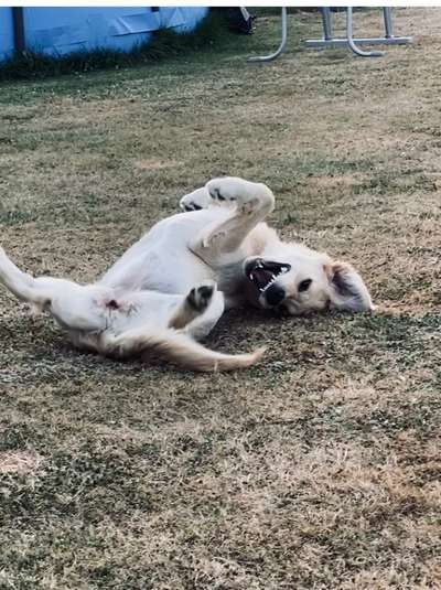 Her mit dem Grimassen-Beitrag-Bild