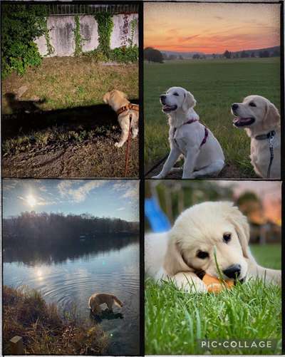 14. Collagen Challenge- Sonnenaufgang & -Untergang-Beitrag-Bild