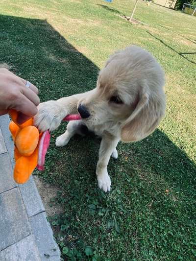 21. Farben / Foto Challenge - Neon / Leuchtfarben-Beitrag-Bild