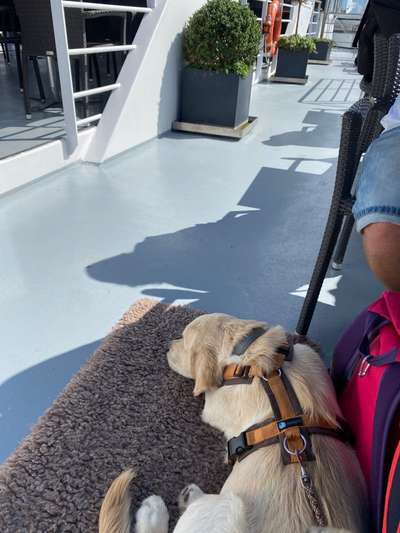 Fotochallenge 101:
On Tour-Beitrag-Bild