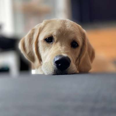 147. Foto Challenge: Bettelblick-Beitrag-Bild