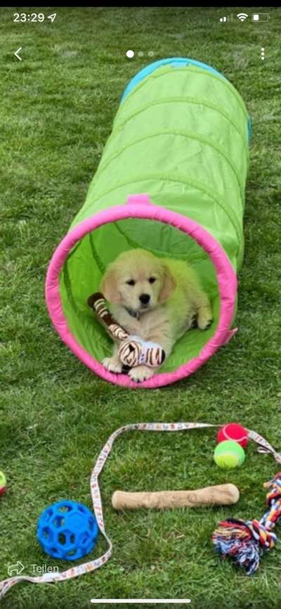 28. Handy-Fotochallenge - Damals und heute-Beitrag-Bild