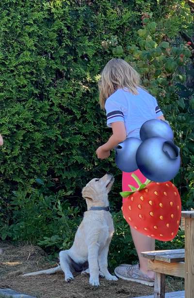 Fotochallenge Nr. 93 Es ist Erntezeit-Beitrag-Bild