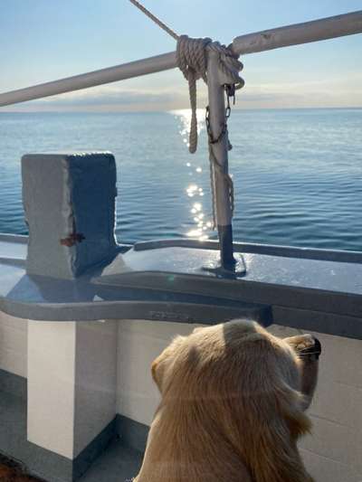 141. FOTO CHALLENGE 
Reisende soll man nicht aufhalten-Beitrag-Bild