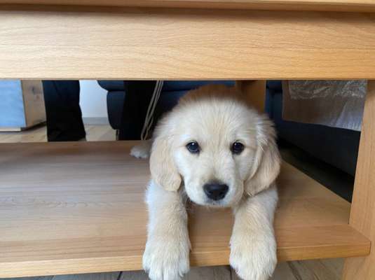 Fotochallange Nummer 5-Beitrag-Bild