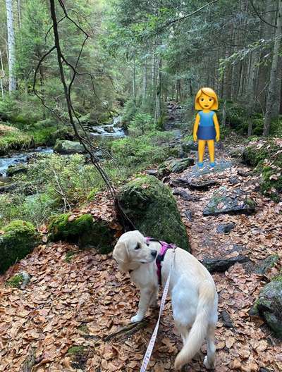 Fotochallenge Nr 107-Beitrag-Bild