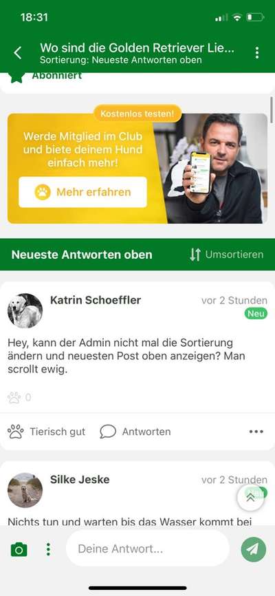 Wo sind die Golden Retriever Liebhaber?-Beitrag-Bild