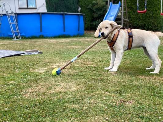 Fotochallenge 129-Beitrag-Bild