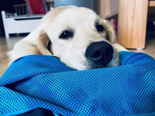 42. Handy Fotochallenge - Den richtigen Riecher haben-Beitrag-Bild