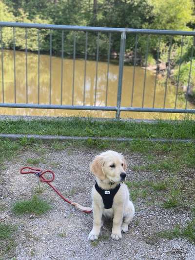 Fotochallenge 87: Im Park-Beitrag-Bild