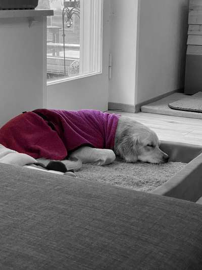 6. Farben Foto Challenge: "ColourKey Effekt"-Beitrag-Bild