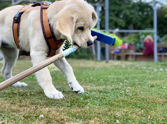 19. Handy - Foto - Challenge-Beitrag-Bild