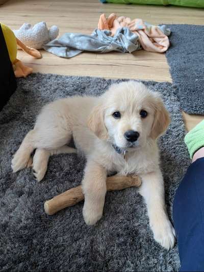 Theos Fotochallenge Nr. 3-Beitrag-Bild