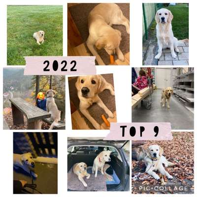 12. Collagen Challenge - Auslastung/Training-Beitrag-Bild