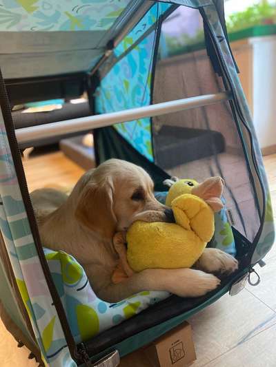 23. Farben / Fotochallenge - Türkis --Beitrag-Bild