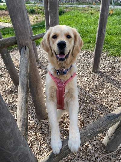 45. Handy - Foto - Challenge-Beitrag-Bild