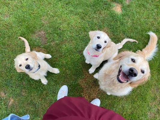 Fotochallenge 88-Beitrag-Bild