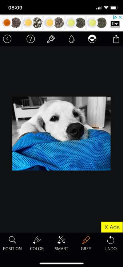 6. Farben Foto Challenge: "ColourKey Effekt"-Beitrag-Bild