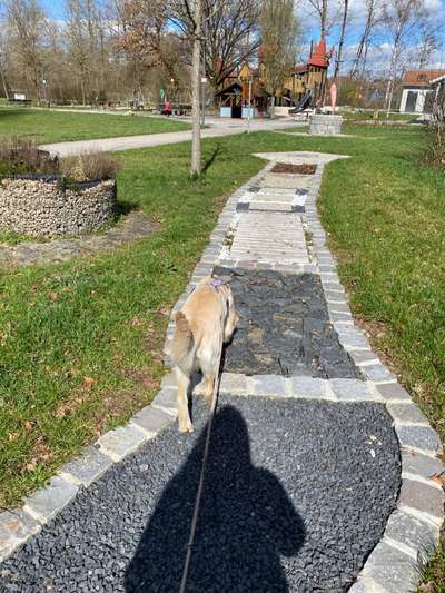 30. Collagen Challenge - Wege/Straßen-Beitrag-Bild