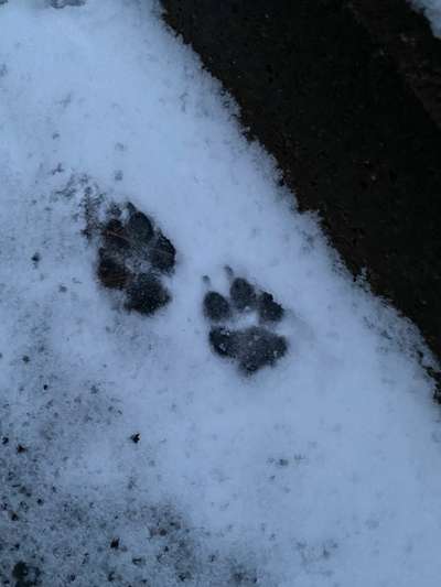 Foto Challenge Nr.135-Beitrag-Bild