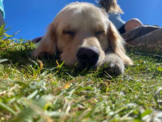 53. Collage Challenge - Verschiedene Blickwinkel-Beitrag-Bild