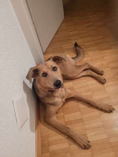 Doppelgänger gesucht !-Beitrag-Bild