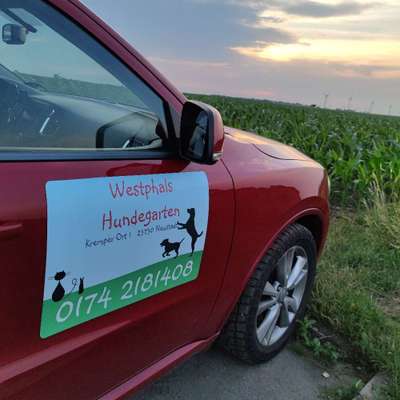 Hundetreffen-Westphals Hundegarten