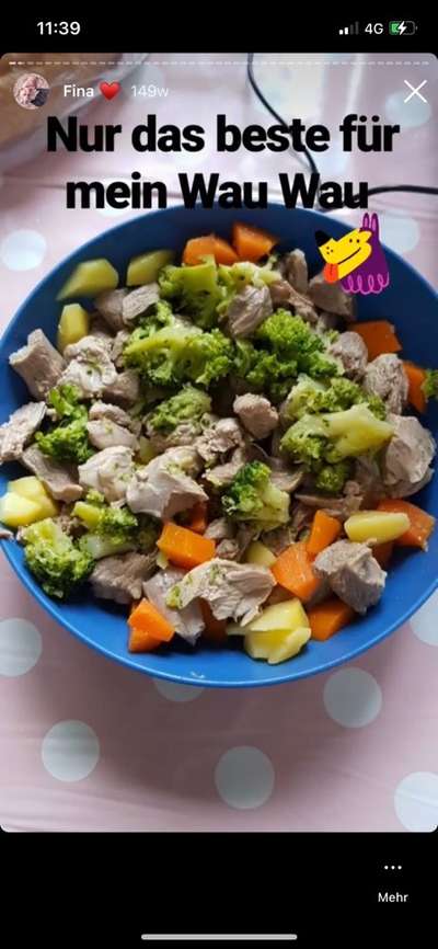 Fotochallenge 31 - Das perfekte Hundedinner-Beitrag-Bild