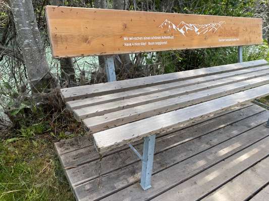 Giftköder-Seidenspinner Raupe-Bild