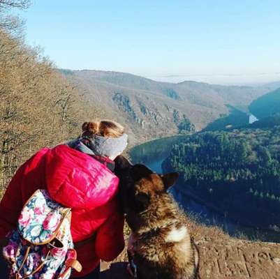 Euer schönstes Bild mit eurem Hund gemeinsam!-Beitrag-Bild