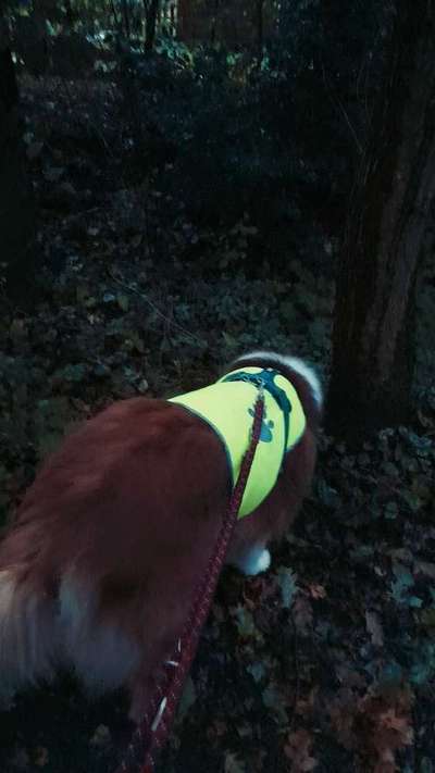 Leuchtie bei Dunkelheit bitte !-Beitrag-Bild