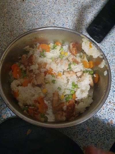 Zeigt her Eure Futternäpfe-Beitrag-Bild