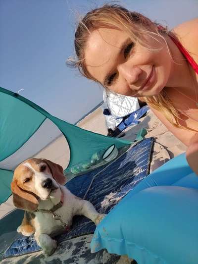 Die Dogorama Wochen Challenge: “Dein Hund im Urlaub”-Beitrag-Bild