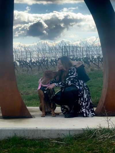 Hundetreffen-Gemeinsame Gassi Runde-Bild