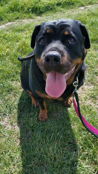 Lieblingsbild :D-Beitrag-Bild