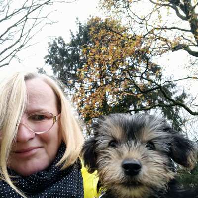 Hundetreffen-Welpentreffen