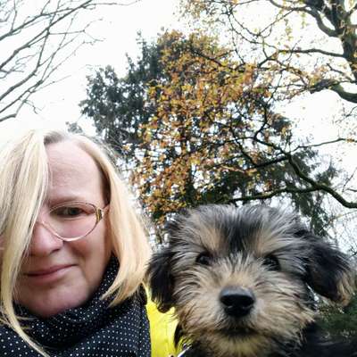 Hundetreffen-Welpentreffen-Profilbild