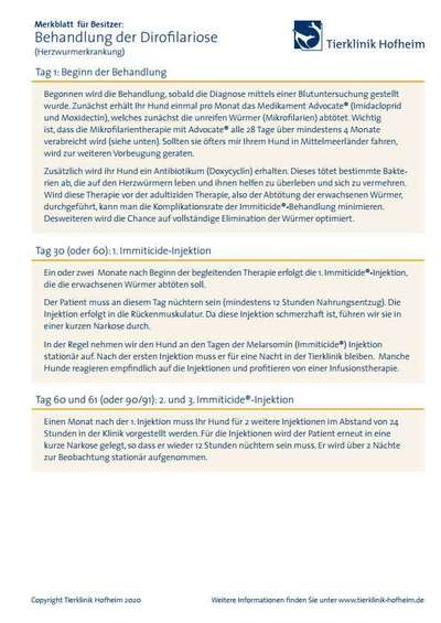 Behandlung von herzwürmer-Beitrag-Bild