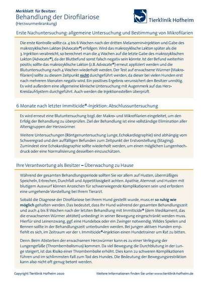 Behandlung von herzwürmer-Beitrag-Bild